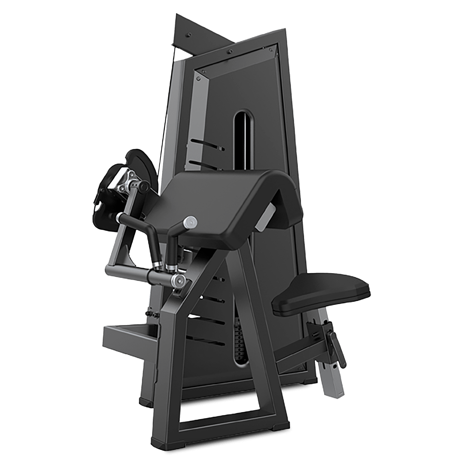 Aparato de Biceps y Triceps. TS09