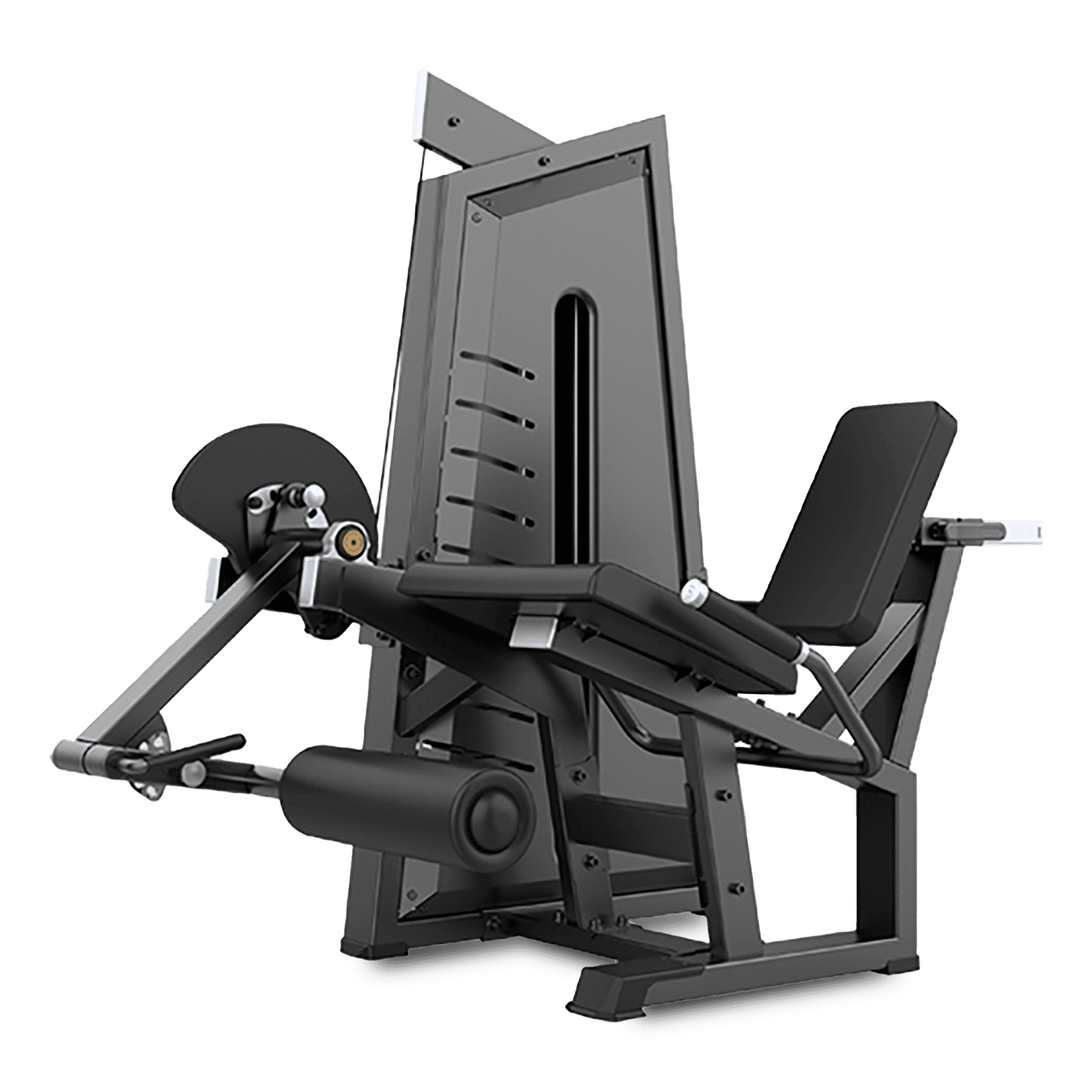 Extension de Pierna TS02