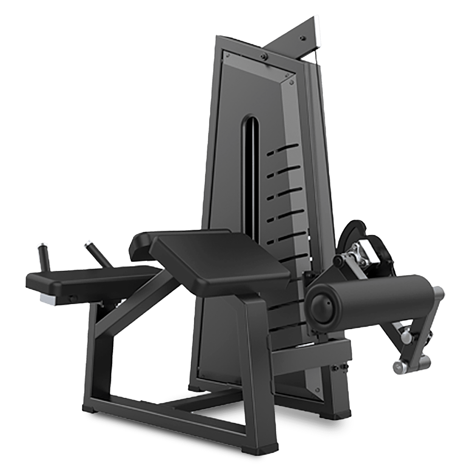 Aparato Femoral Acostado TS01